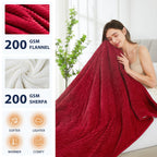 Homemate Electric Blanket Queen Size - 84''X90'' Heated Blanket Queen Size 1/2/4/6/8 Hours Auto-Off 10 Heat Levels Over-Heat Pro