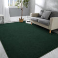 Hutha Large Area Rugs for Bedroom Living Room, 6x9 Dark Green Solid Fluffy Super Soft Memory-Foam Furry Bedside Carpets, Modern 
