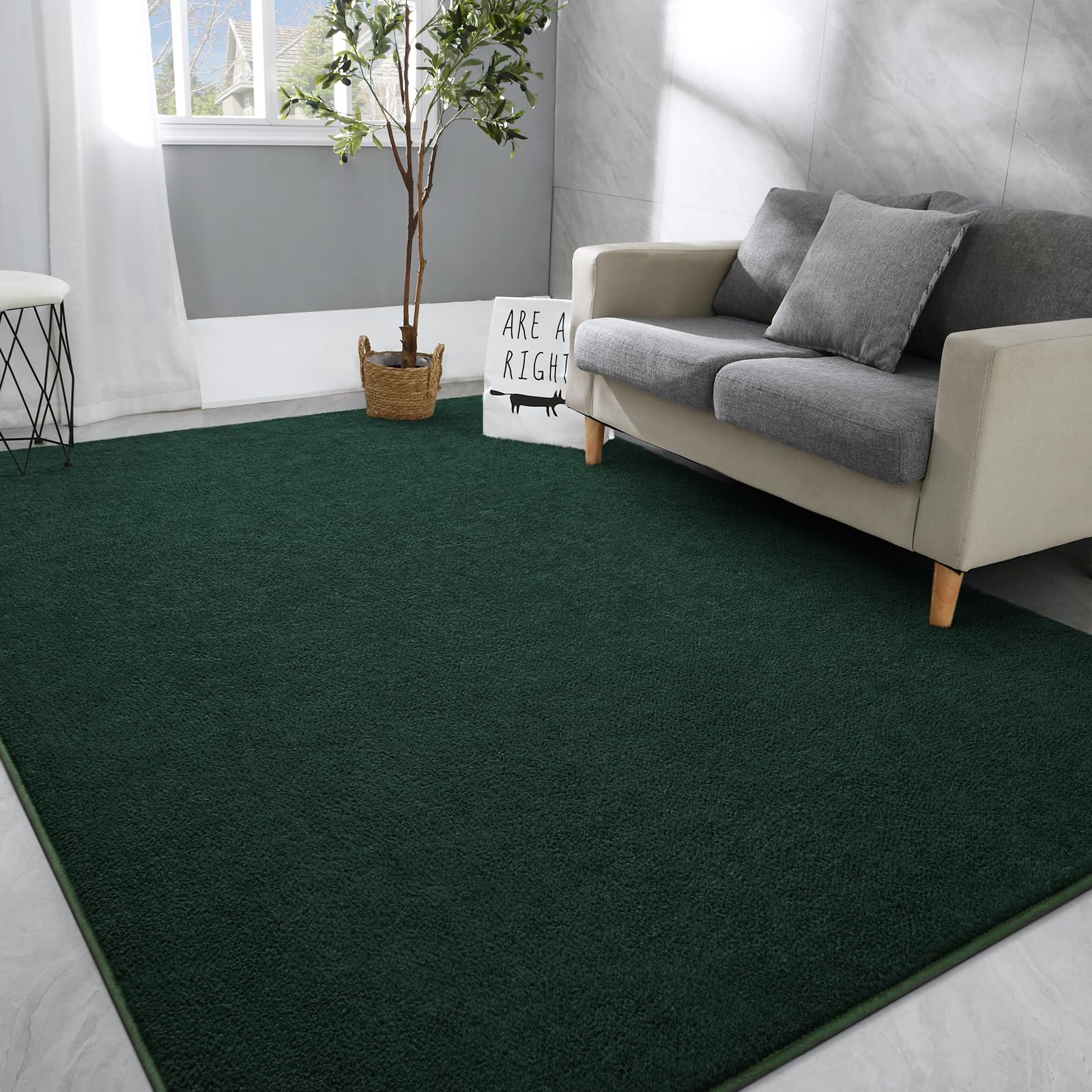 Hutha Large Area Rugs for Bedroom Living Room, 6x9 Dark Green Solid Fluffy Super Soft Memory-Foam Furry Bedside Carpets, Modern 