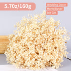 6000+ Dried-Babys-Breath-Flowers-Bouquet-17 Inch Ivory White Flowers, Natural Gypsophila Branches For Wedding, Diy Home Party De