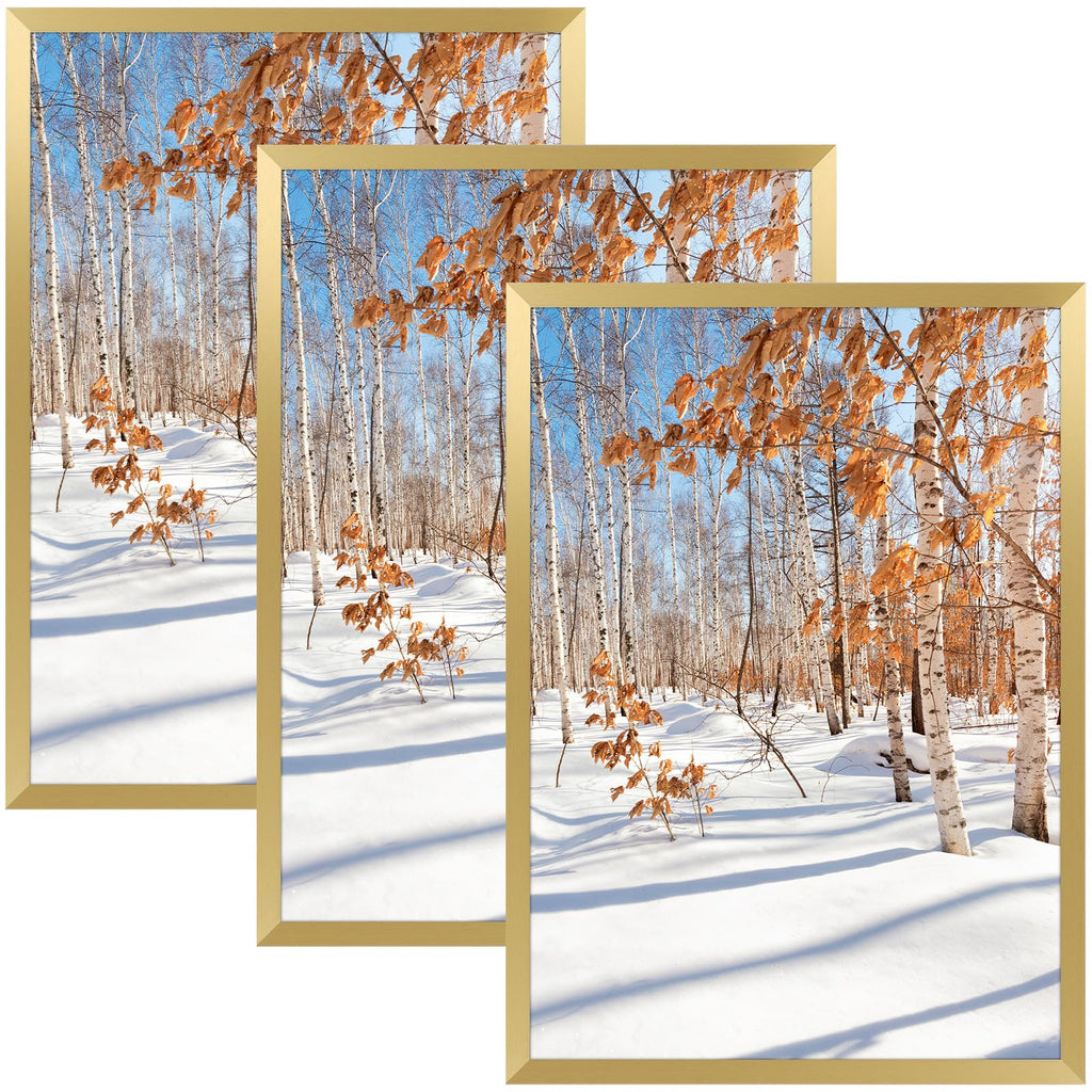 Golden State Art, A4 Aluminum Gold Picture Frame with Acrylic Front, Swivel Tabs, Sawtooth Hangers, Spring Clips, Metal Wall Pos