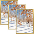 Golden State Art, A4 Aluminum Gold Picture Frame with Acrylic Front, Swivel Tabs, Sawtooth Hangers, Spring Clips, Metal Wall Pos