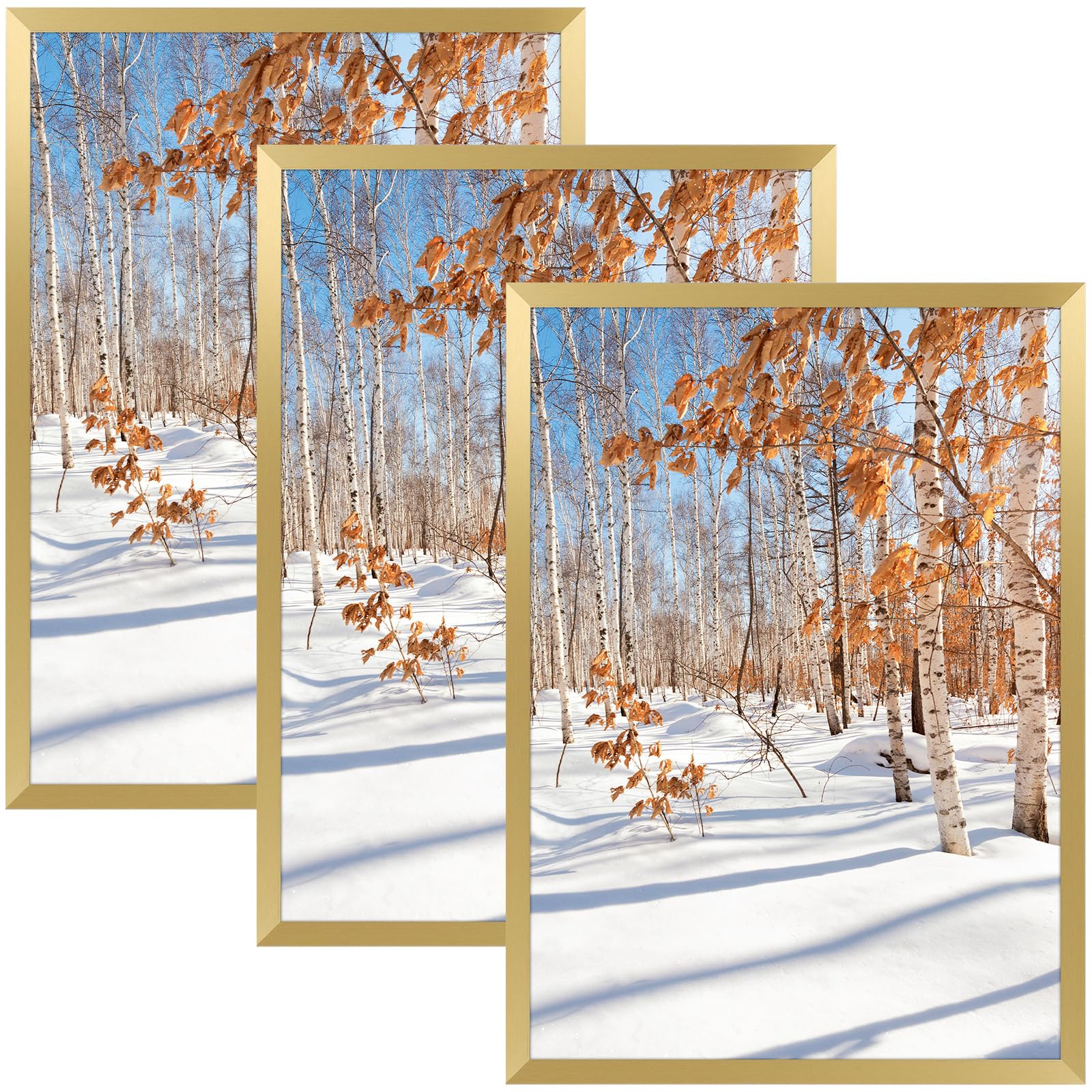 Golden State Art, A4 Aluminum Gold Picture Frame with Acrylic Front, Swivel Tabs, Sawtooth Hangers, Spring Clips, Metal Wall Pos