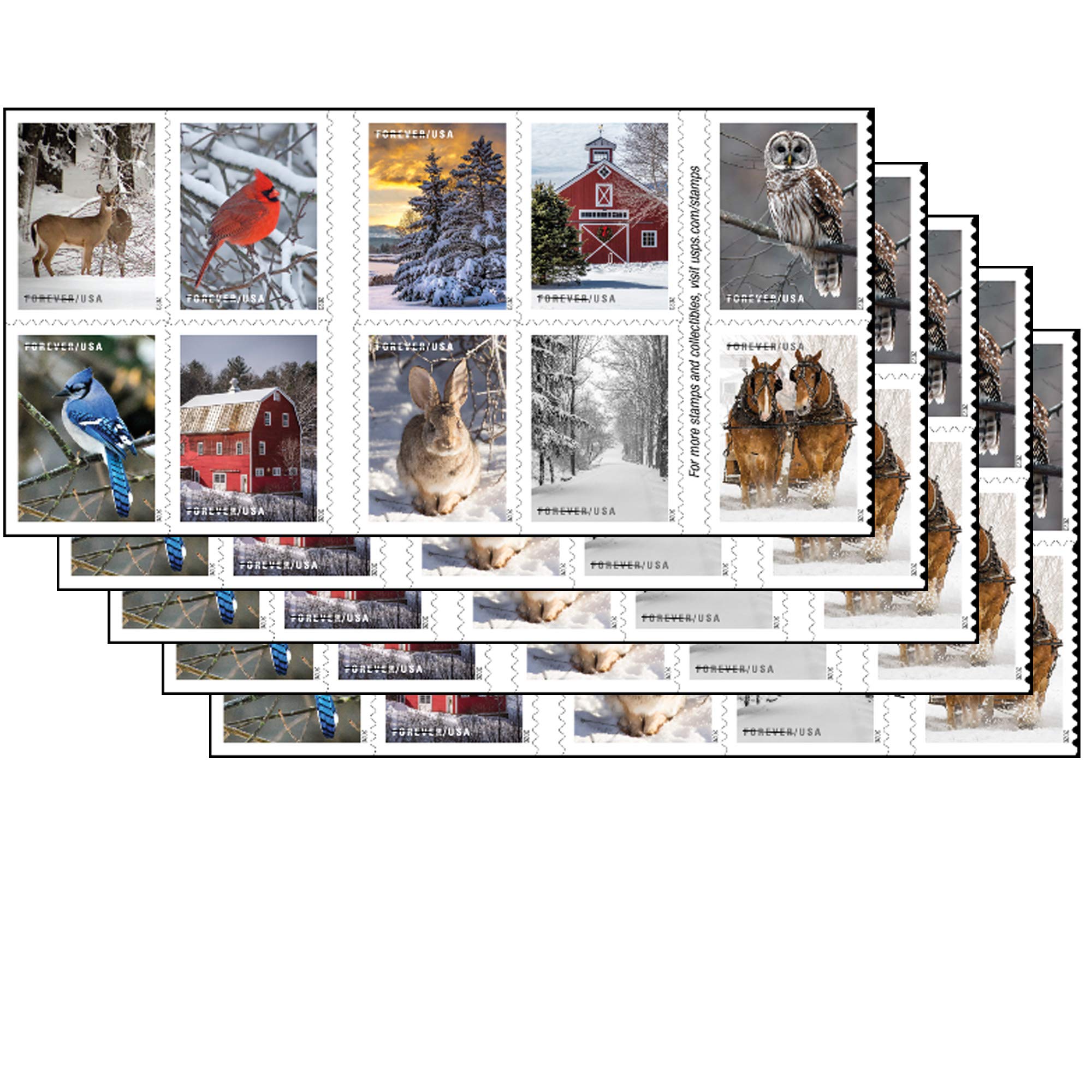 Winter Scenes Forever Postage Stamps 5 Books Of 20 First Class United States Postal Celebrations Wedding Celebration Anniversary