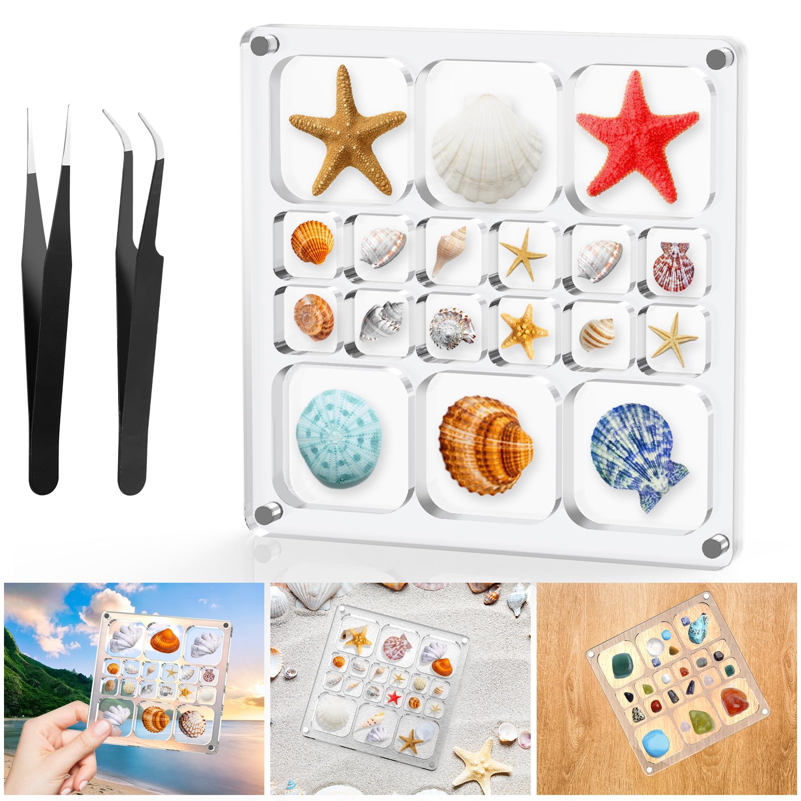 XANGNIER Acrylic Magnetic Seashell Display Box,Clear Sea Shell Display Box,Beach Magnet Storage Organizer Case for Seashell Diam