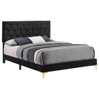 Coaster Home Furnishings Kendall 49-Inch Upholstered Bed Queen Size Modern Panel Bed Frame Velvet Upholstery Button Tufted with Gold Accents Black 224451Q