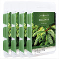Candle Warmers Etc Classic Wax Melts 2.5oz, Balsam Fir Fragrance (4-Pack) - Each Pack has x4 2.5 oz Wax Melts and 30 Hours of Fr