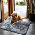 2x3 Fluffy Area Rugs for Bedroom Living Room,Small Soft Shag Fuzzy Rug Non-Shedding Indoor Plush Carpet for Kids Bedroom Nursery