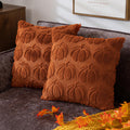 Cosibono Pumpkin Fall Decorative Throw Pillow Covers 18'X18', Set Of 2 Rust Red Soft Faux Fur Pillow Covers For Autumn Harvest