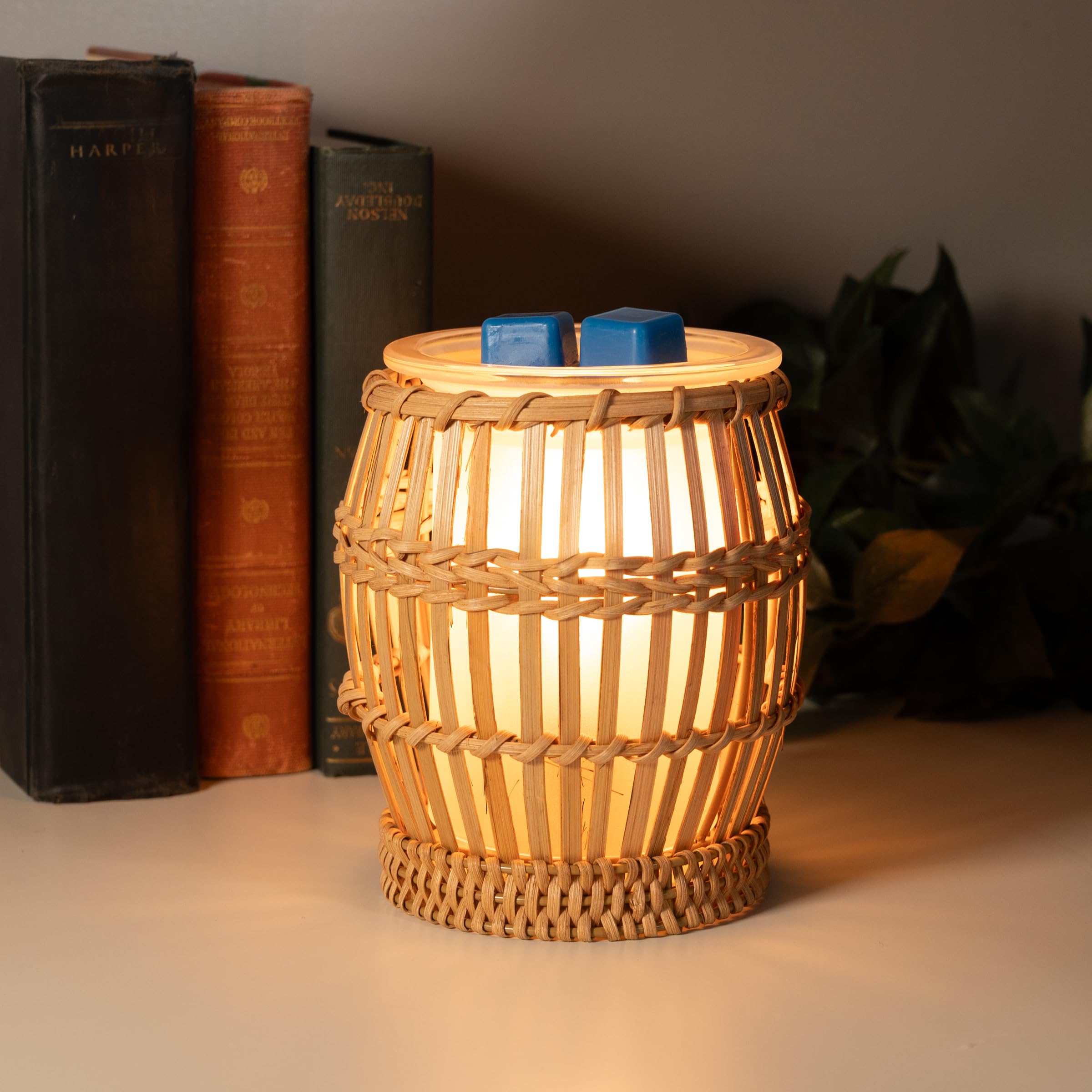 Scentsationals Wax Warmer, Scented Wax Cube Melter, Flower Electric Fragrance Burner, Wickless Candle Air Freshener, Full Size H