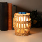 Scentsationals Wax Warmer, Scented Wax Cube Melter, Flower Electric Fragrance Burner, Wickless Candle Air Freshener, Full Size H