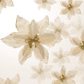 WILLBOND 36 Pcs Christmas Tree Poinsettia Flowers Artificial Glitter Decorations for Home and Outdoor in 3 Sizes (Gold, 3/4/6 in