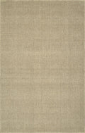 Daylon Monaco Sisal Mc300 Oatmeal 2'X3' Rug Mc300Oa2X3