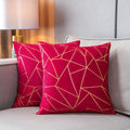 Yongliu Throw Pillow Covers Velvet Decorative 2 Packs Ultra-Soft Cushion Case For,Christmas,Sofa,Bedroom,Car Living Room (Red, 1