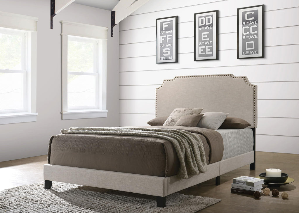 Coaster Home Furnishings Tamarac Transitional Fabric Upholstered Queen Size Panel Bed Frame 51-inch Headboard Beige 310061Q