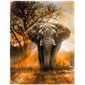 Hommomh 50'X60' Orange African Elephant Blanket Soft Fluffy Fleece Throw For Women