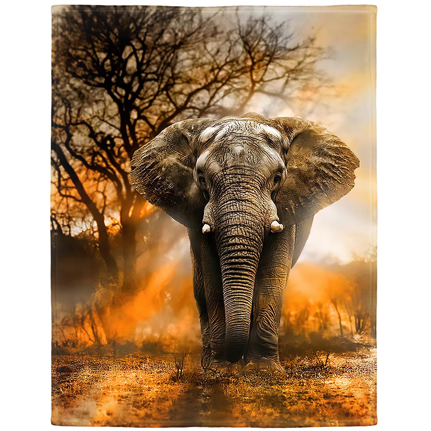 Hommomh 50'X60' Orange African Elephant Blanket Soft Fluffy Fleece Throw For Women