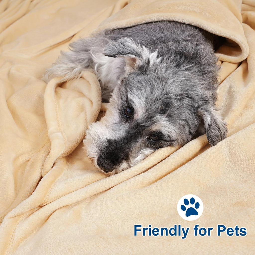 Phf Ultra Soft Fleece Blanket King Size, No Shed No Pilling Luxury Plush Cozy 300Gsm Lightweight Blanket For Bed, Couch, Chair, Sofa Suitable For All Season, 108' X 90', Beige