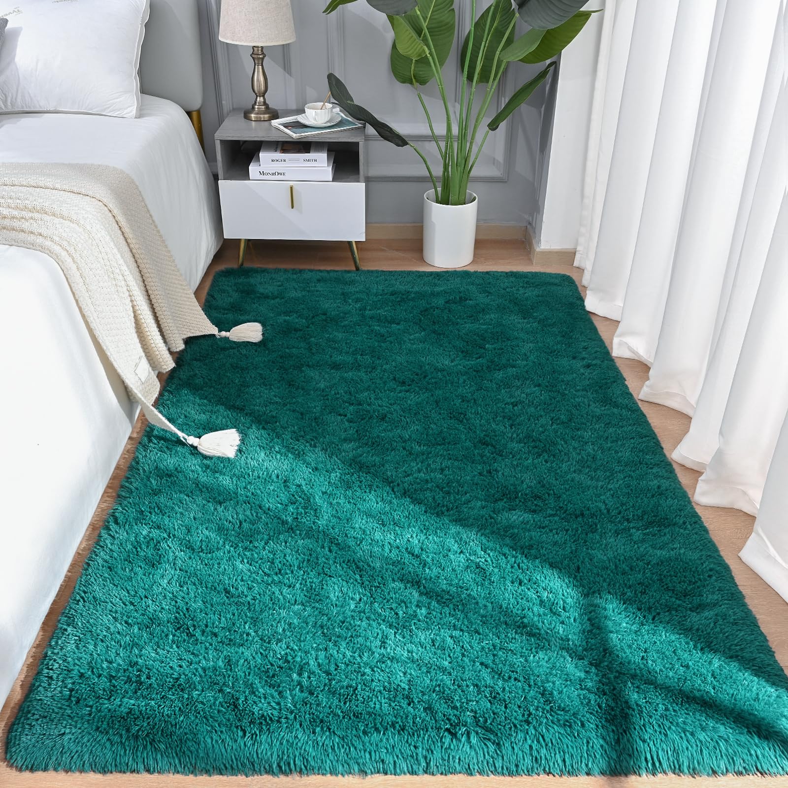 Arogan Shag Area Rug For Bedroom, 4X6 Feet Washable Rugs For Living Room, Non-Slip Indoor Floor Carpet Rugs, Plush Memory Foam B