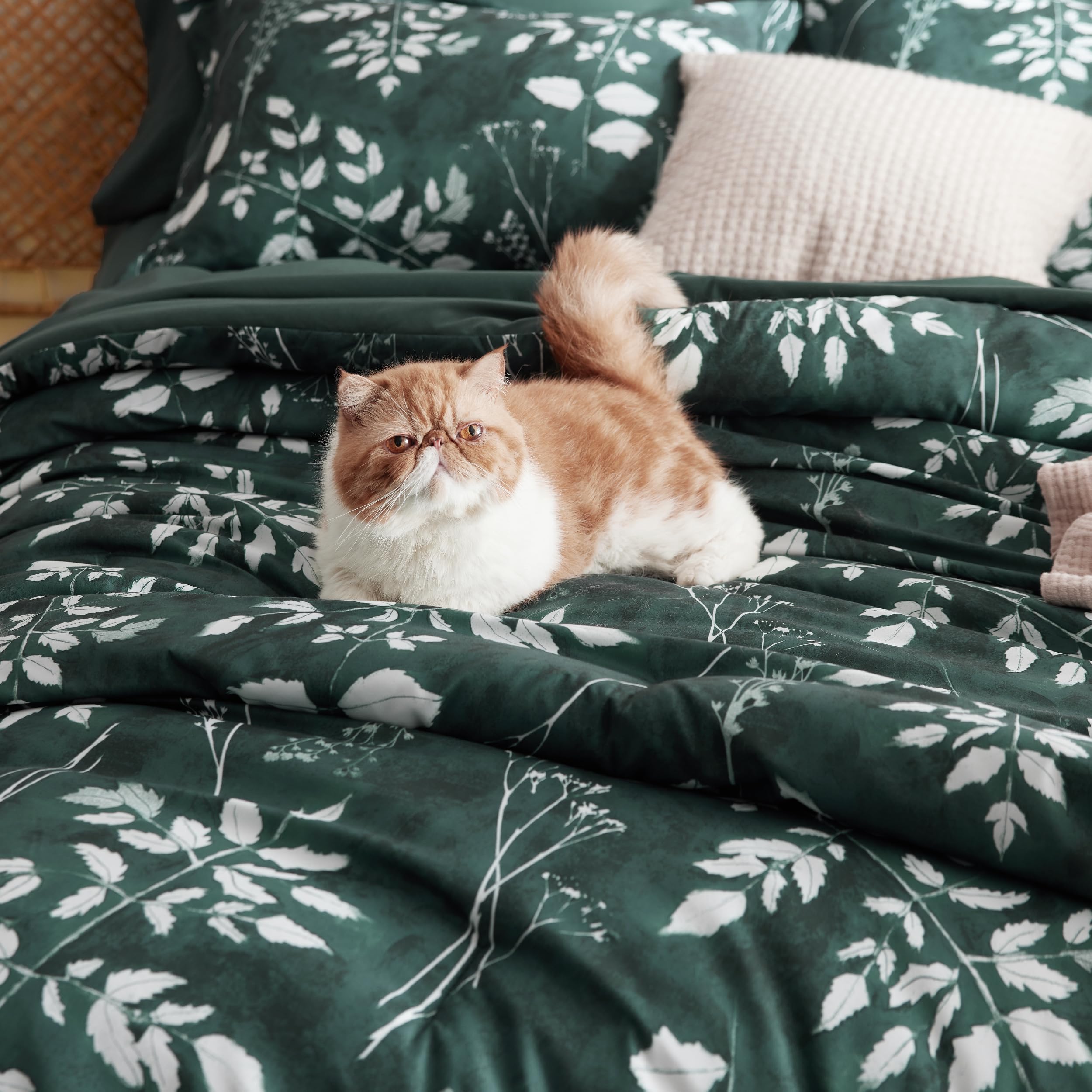 Bedsure Forest Green Twin Comforter Set - 5 Pieces Floral Bedding Sets For College, Extra Long Twin Bed In A Bag With Reversible Botanical Flowers Comforter, Sheets, Pillowcase & Sham