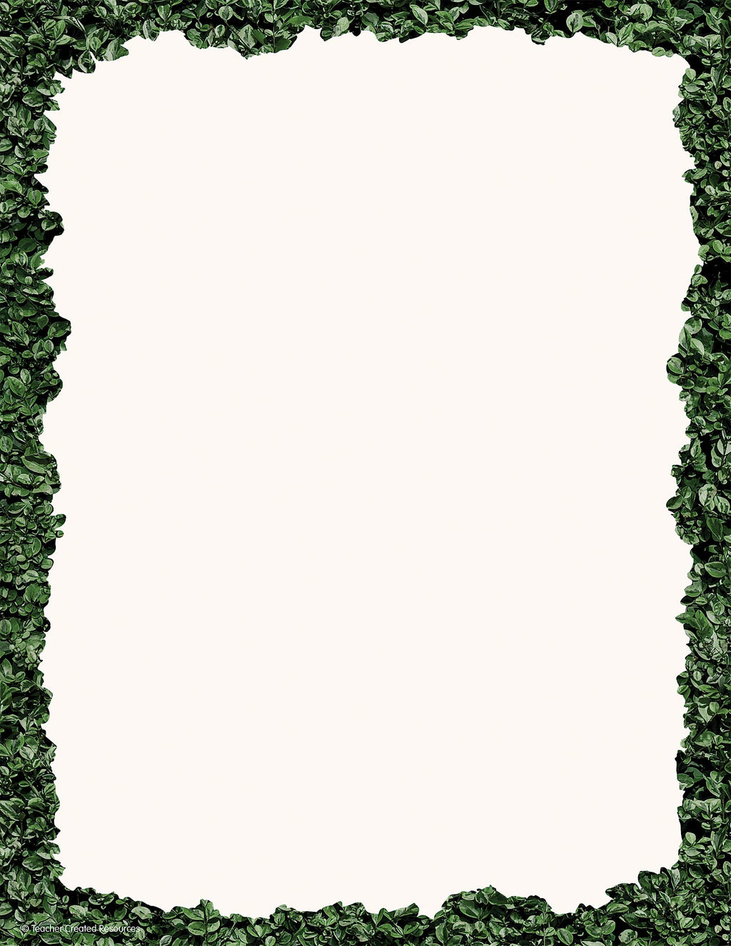 Teacher Created Resources Modern Farmhouse Boxwood Computer Paper, 50 Sheets