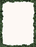 Teacher Created Resources Modern Farmhouse Boxwood Computer Paper, 50 Sheets