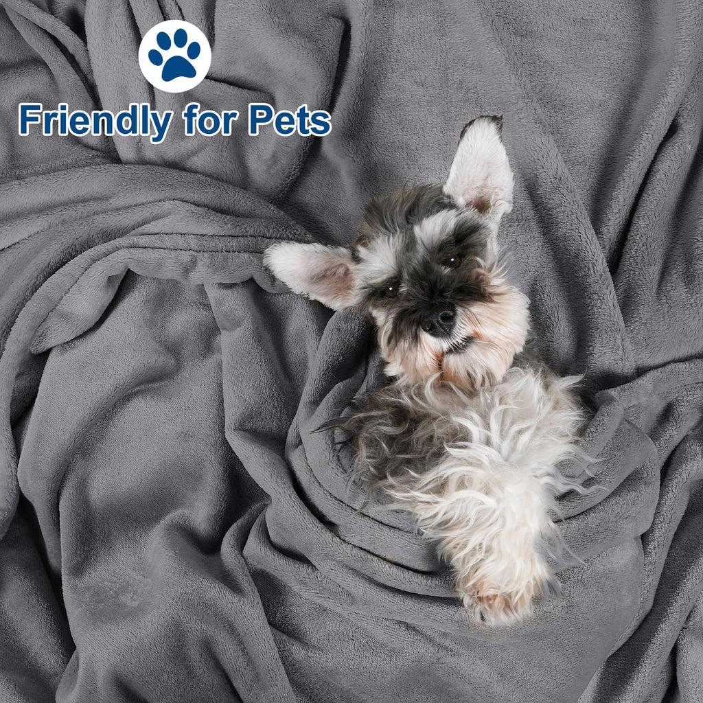Phf Ultra Soft Fleece Blanket King Size, No Shed No Pilling Luxury Plush Cozy 300Gsm Lightweight Blanket For Bed, Couch, Chair, Sofa Suitable For All Season, 108' X 90', Grey