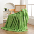 Puncuntex Flannel Fleece Throw Blanket Apple Green 50''  60'',Super Soft Plush Cozy Blanket With Square Grid Design Luxury For C