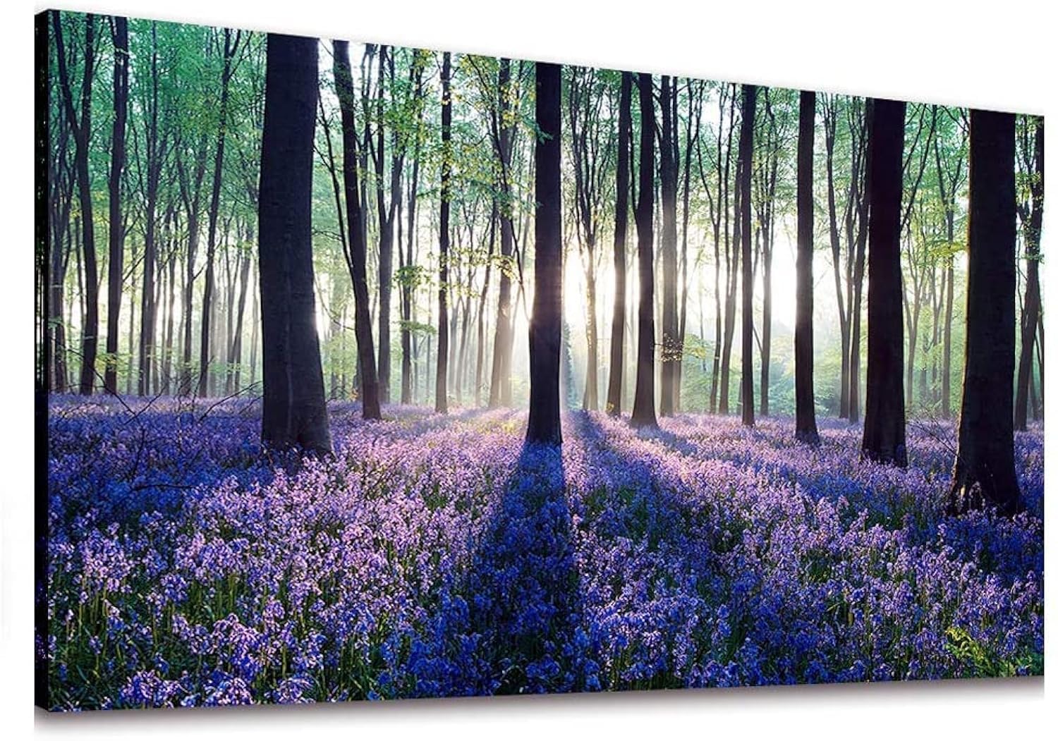 Canvas Wall Art Sunshine in Forests with Purple Lavender Flower Painting Print Long Canvas Artwork Contemporary Nature Picture f