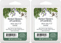 Better Homes and Gardens Scented Wax Cubes 2.5oz 2-Pack (Sea Salted Sage)