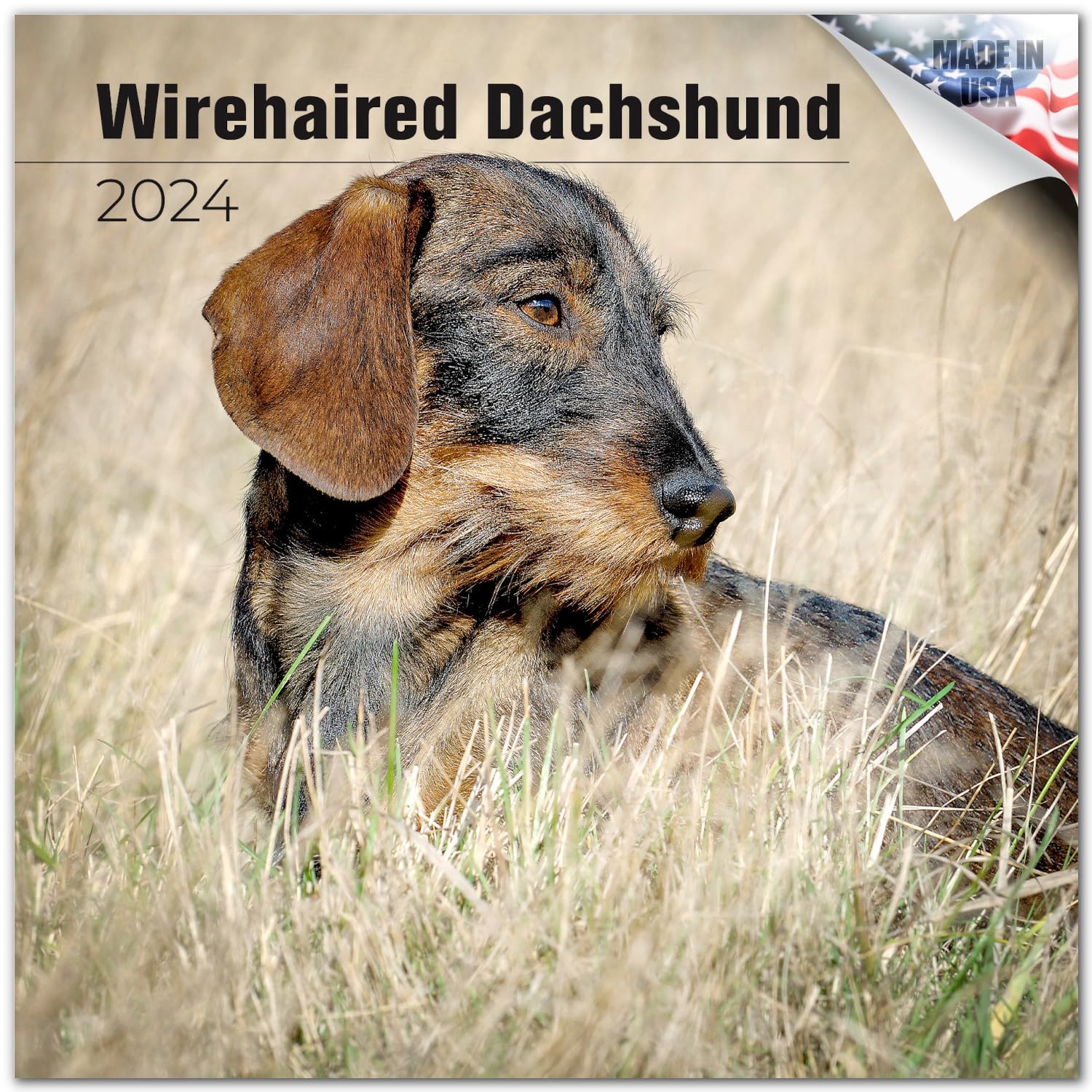 2023 2024 Wirehaired Dachshund Calendar - Dog Breed Monthly Wall Calendar - 12 X 24 Open - Thick No-Bleed Paper - Giftable - Aca