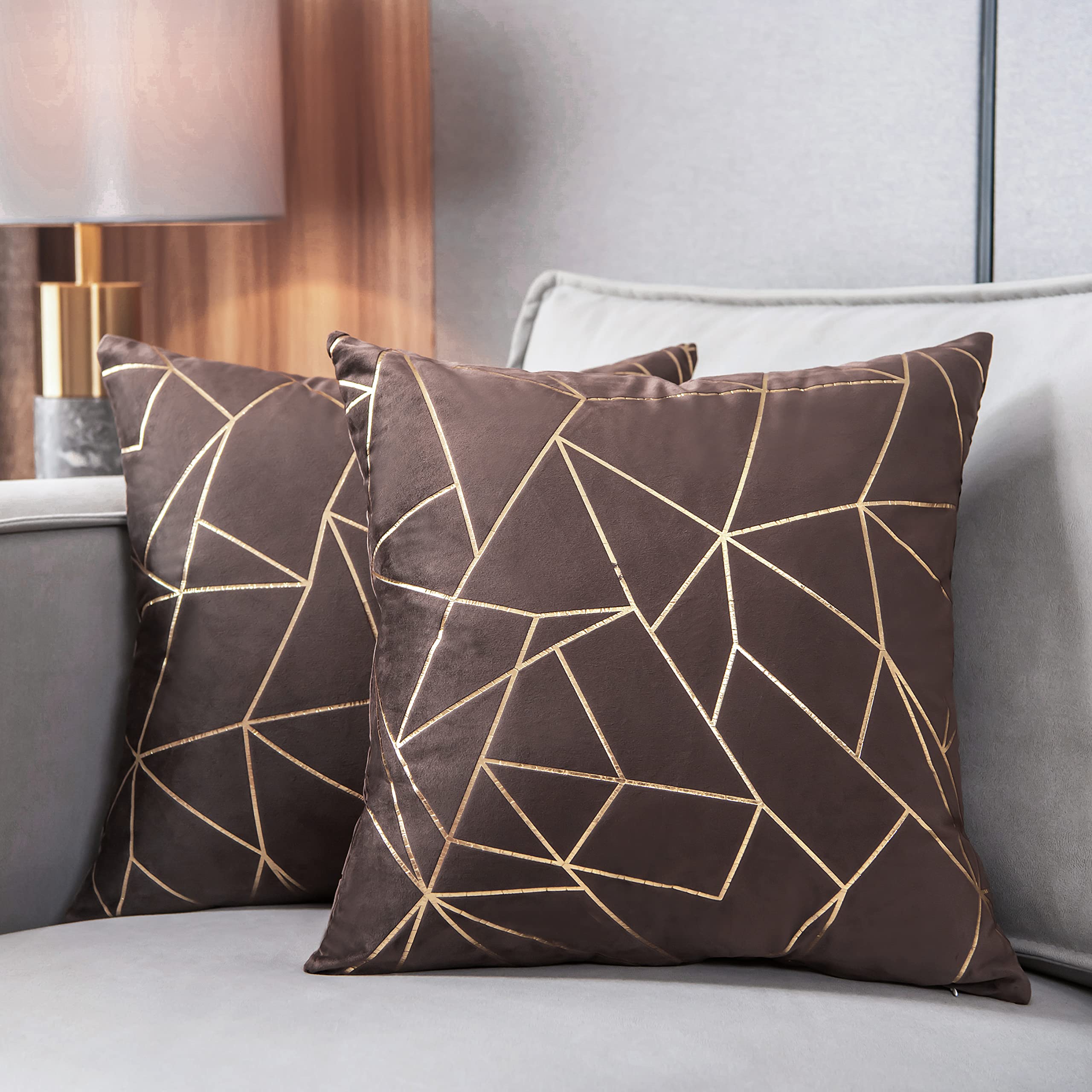 Yongliu Throw Pillow Covers Velvet Decorative 2 Packs Ultra-Soft Cushion Case For,Christmas,Sofa,Bedroom,Car Living Room (Coffee