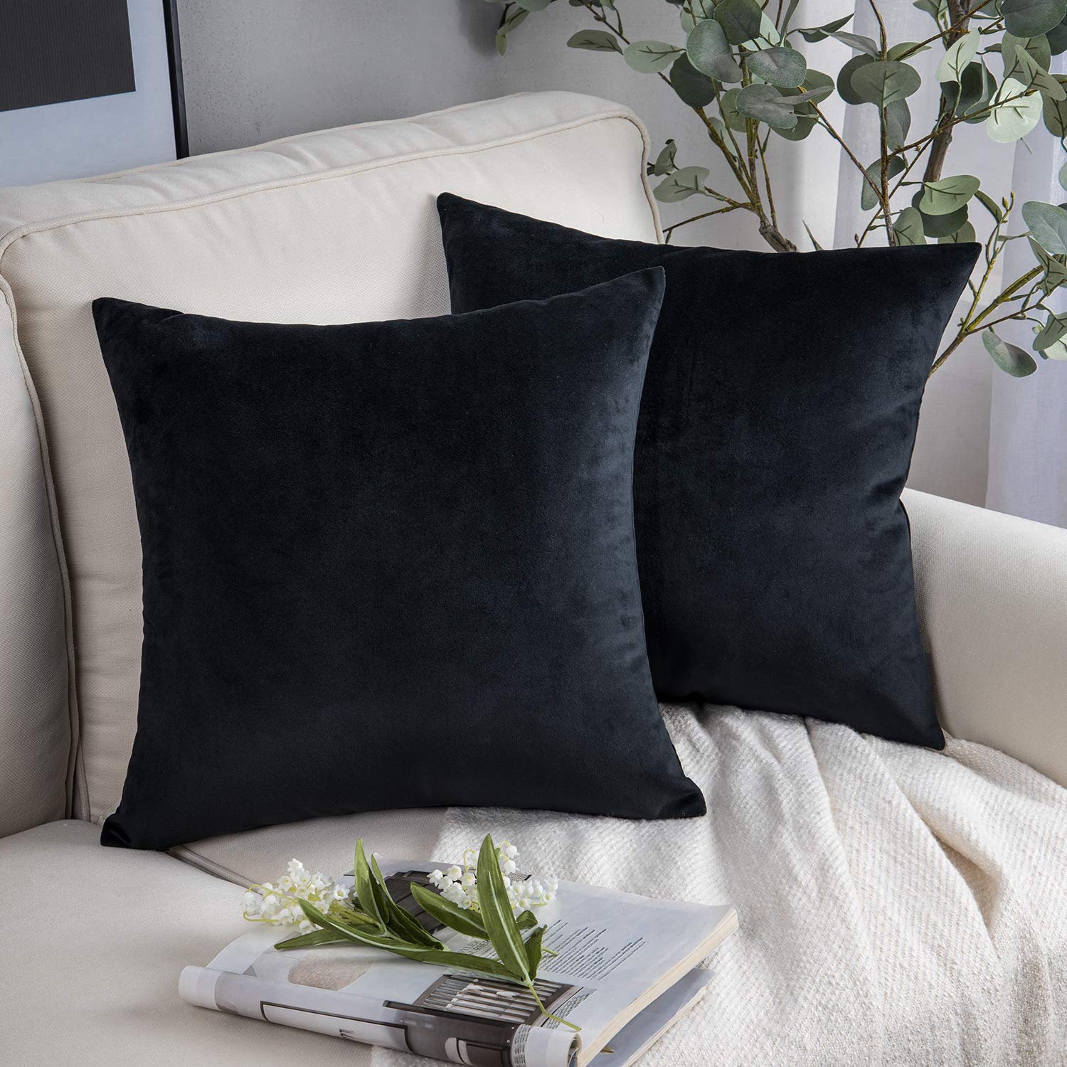 Phantoscope Pack Of 2 Velvet Decorative Throw Decorative Pillow Cover Soft Solid Square Cushion Case For Couch Black 22 X 22 Inc