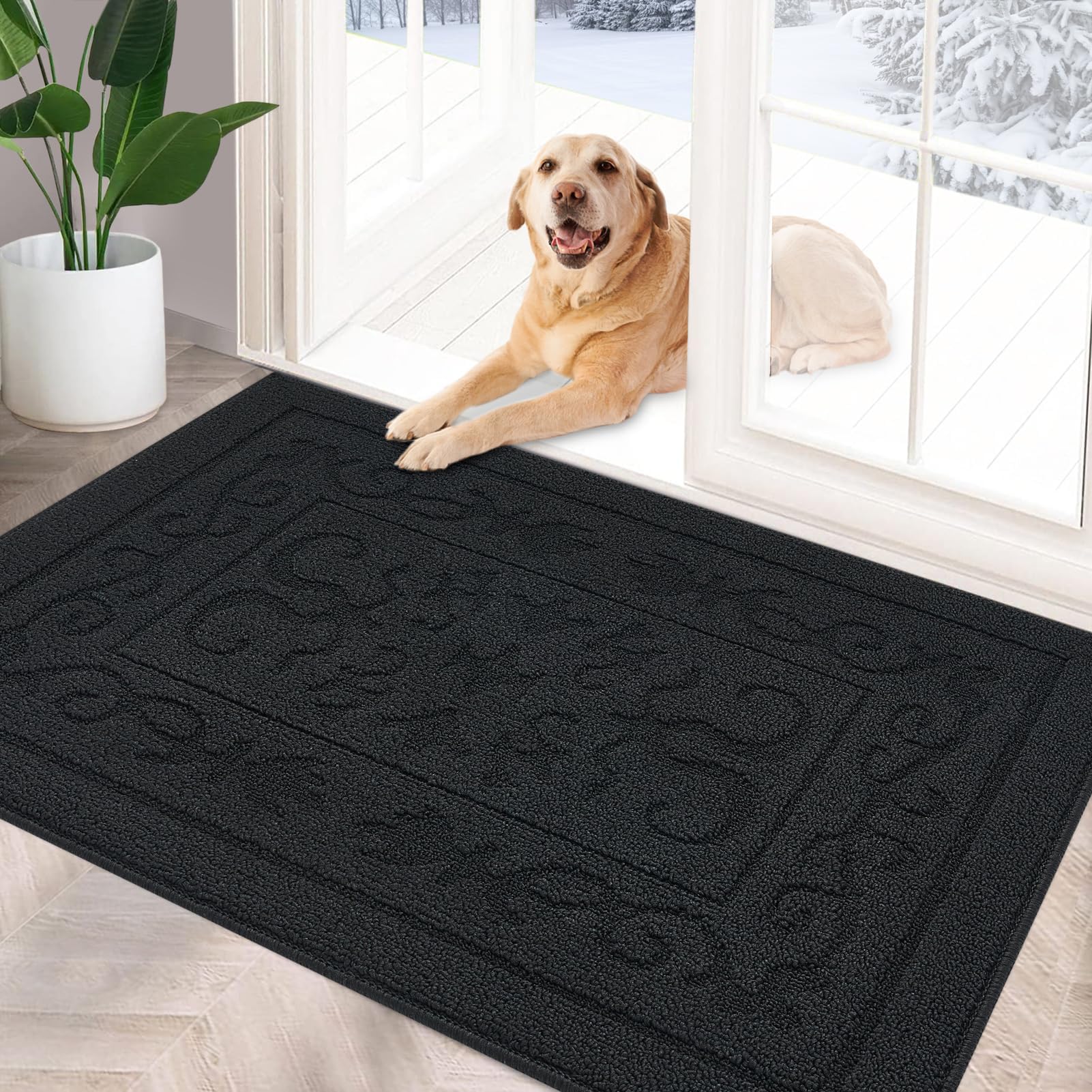 Foneyi Indoor Doormat, Front Back Door Mat 32'X48' Washable, Rubber Backing Non Slip Door Mats, Low-Profile Absorbent Entrance