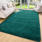 AROGAN Shag Area Rug for Bedroom, 4x6 Feet Washable Rugs for Living Room, Non-Slip Indoor Floor Carpet Rugs, Plush Memory Foam B