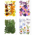 106 Pieces Assorted Real Dried Pressed Flowers Combination Real Dried Pressed Leaves Natural Dry Flowers Leaves for Resin Mold, 