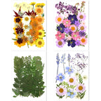 106 Pieces Assorted Real Dried Pressed Flowers Combination Real Dried Pressed Leaves Natural Dry Flowers Leaves for Resin Mold, 
