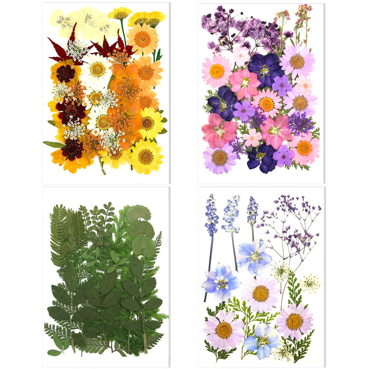 106 Pieces Assorted Real Dried Pressed Flowers Combination Real Dried Pressed Leaves Natural Dry Flowers Leaves for Resin Mold, 