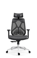 Innowin Berlin Ergonomic High Back Office Chair  Diy Assembly, Mesh & Nylon, Lumbar Support, Headrest, Tilt, Adjustable Arms, A
