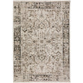 Antalya Ay4 Gray Transitional Rug Rectangle 3' 3" X 5 ' 3"