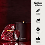 Apotheke Scented Candles For Home, Charcoal Rouge - 10.5 Oz Long-Lasting Soy Wax Jar Candle - 60-70 Hours Burn Time - Notes Of C
