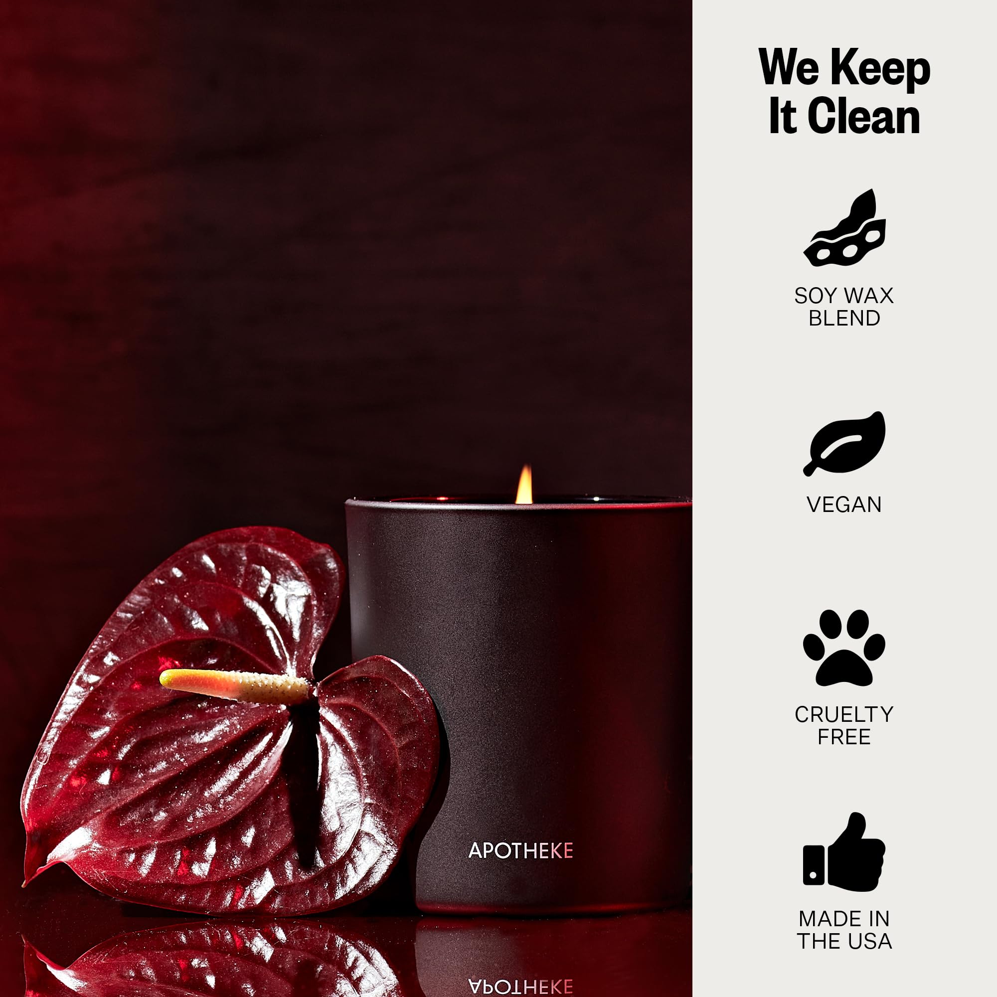 Apotheke Scented Candles For Home, Charcoal Rouge - 10.5 Oz Long-Lasting Soy Wax Jar Candle - 60-70 Hours Burn Time - Notes Of C