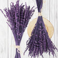 Dried Preserved Lavender Flowers Bundle-Natural Dried Lavender Bouquet 180-200 Stems 15-17 for Wedding Home Shower Vase Decor,