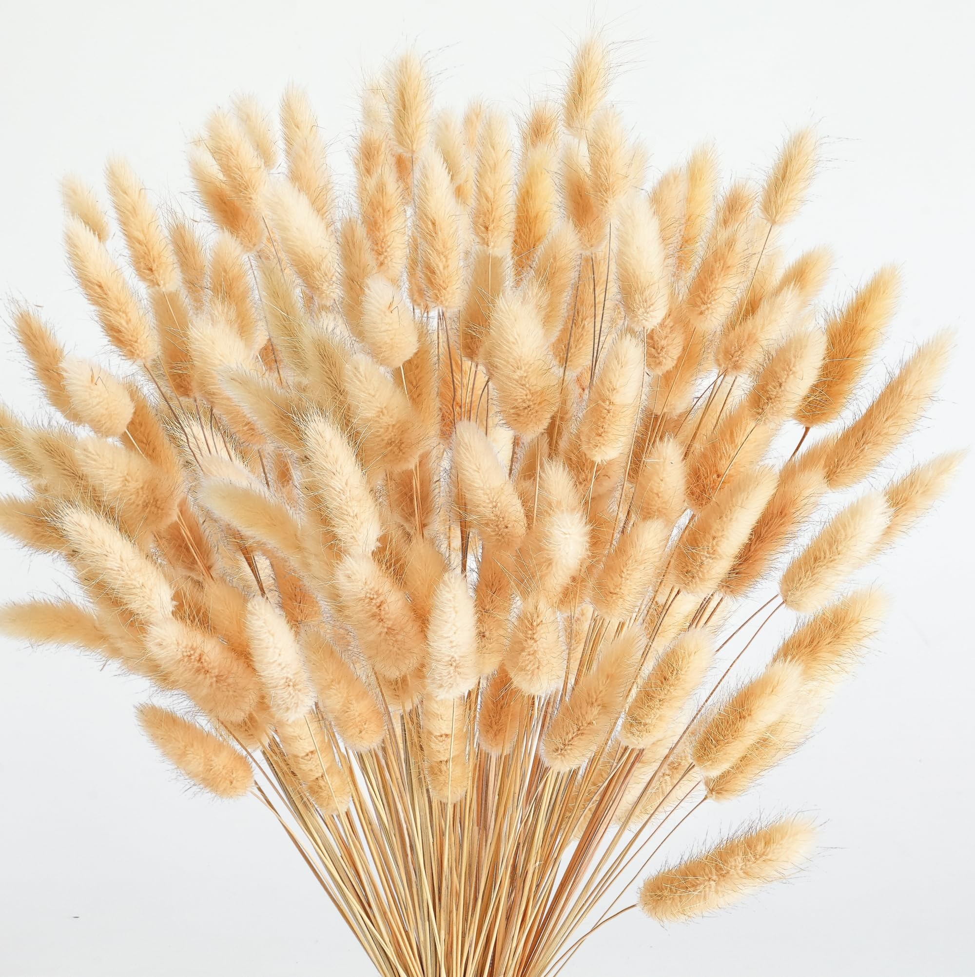 120 Pcs Nature Dried Pampas Grass Decor, 17-Inch Pompas Floral, Dry Flowers For Decoration, Pampas Grass In Bulk Tall, Nature Bu