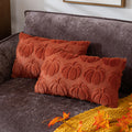 COSIBONO Pumpkin Fall Decorative Throw Pillow Covers 12'x20', Set of 2 Caramel Soft Faux Fur Pillow Covers for Autumn Harvest,