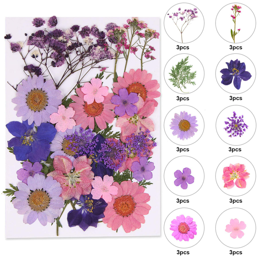 Augshy Dried Pressed Flowers for Resin, Natural Purple Dried Pressed Flowers for Crafts DIY Jewelry Molds, Art Scrapbooking, Can