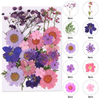 Augshy Dried Pressed Flowers for Resin, Natural Purple Dried Pressed Flowers for Crafts DIY Jewelry Molds, Art Scrapbooking, Can