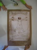 Studio B The Vitruvian Man Poster