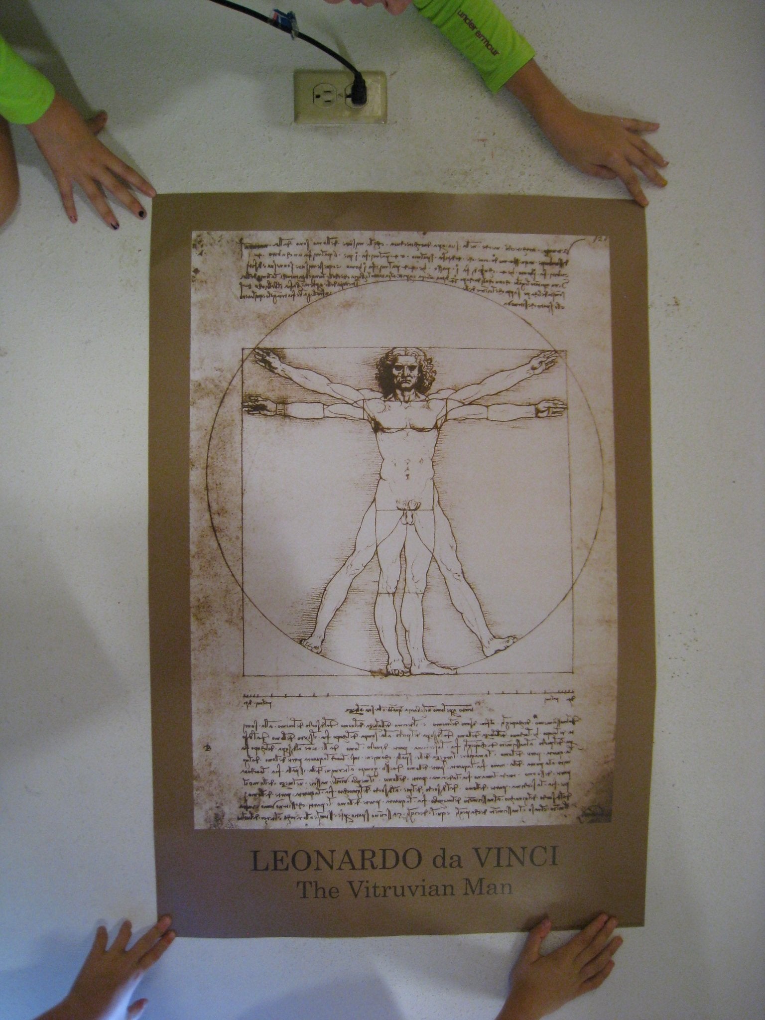 Studio B The Vitruvian Man Poster