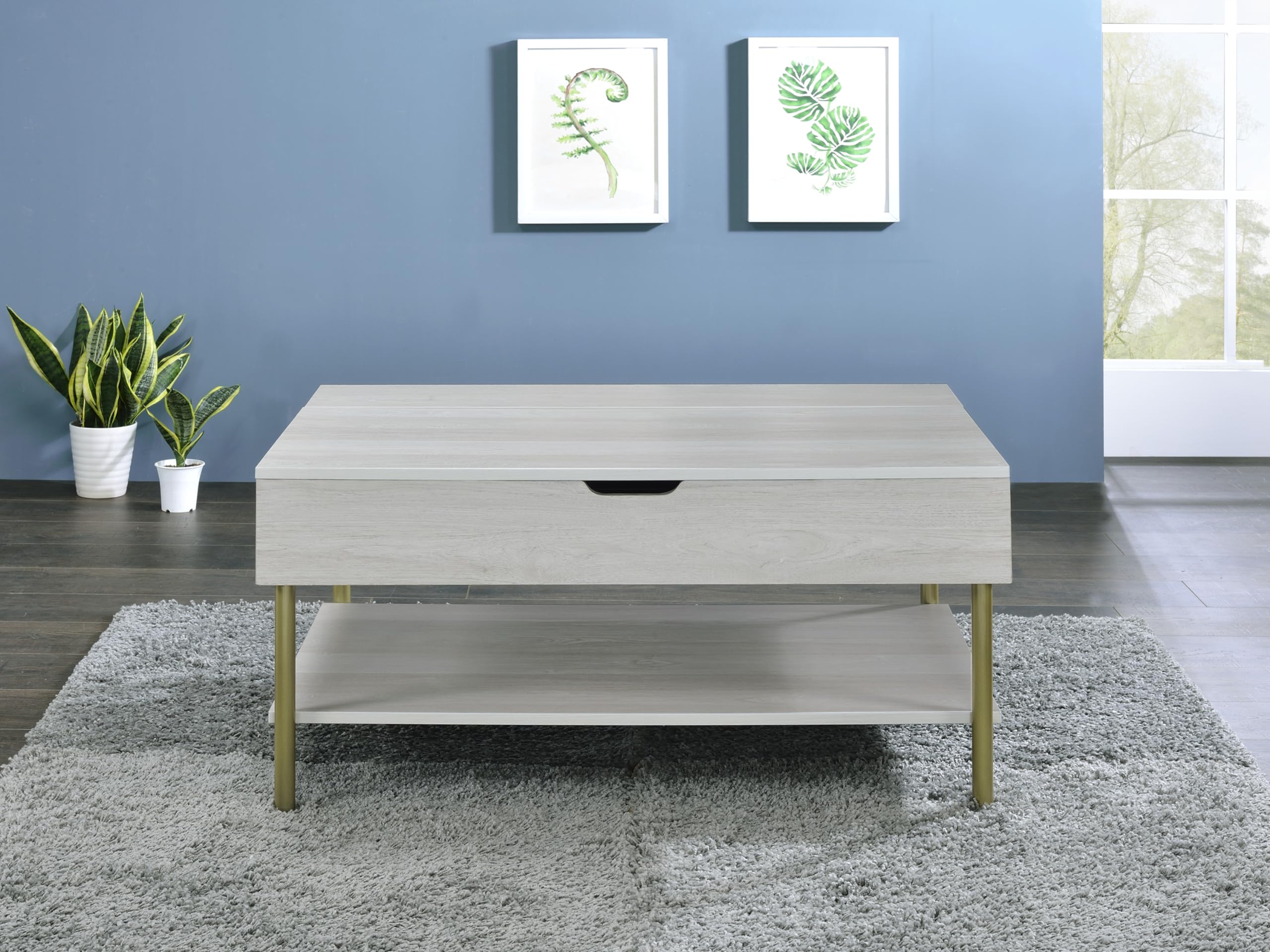 Steve Silver Furniture Whitman Lift Top Cocktail Coffee Table, Living Room, Mid-Century Modern, Bottom Storage Shelf, 36" L x 26" W x 18" H, Weathered White